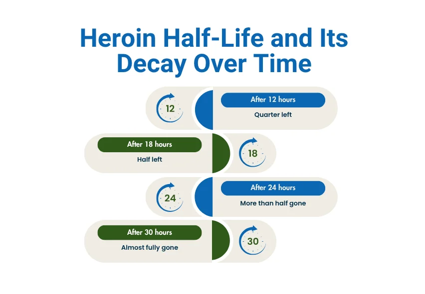 how long heroin stay in human body timeline